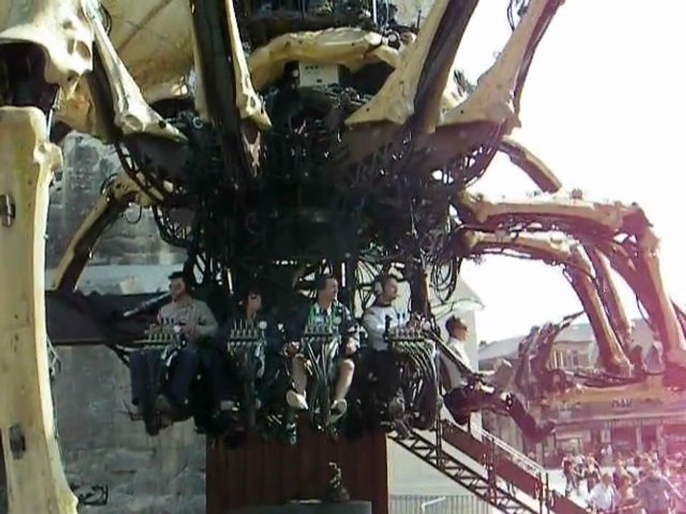 ( kumo-ni ) araignée géant a reims 35 tonnes