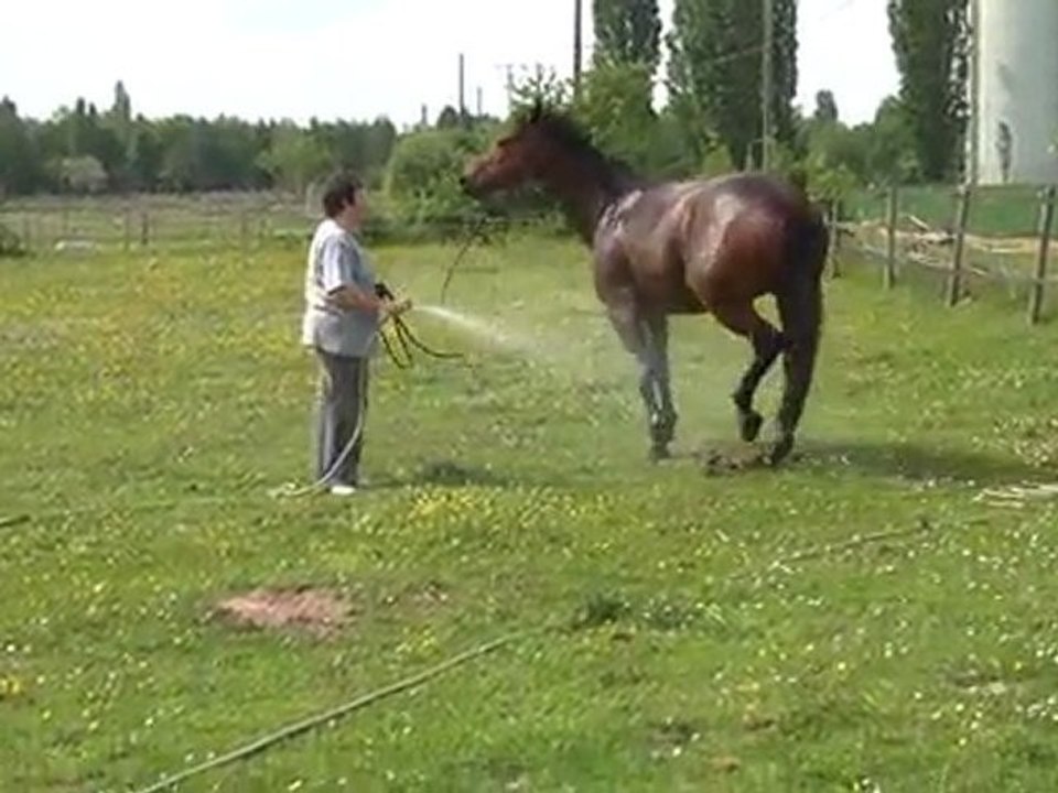 01.05.2011.zv.tiloa.douche