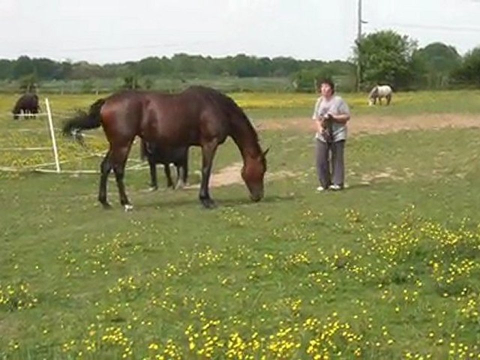 01.05.2011.zz.tiloa.douche