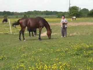 01.05.2011.zz.tiloa.douche