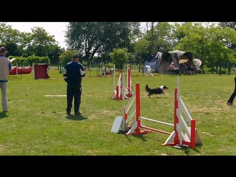 20110501 excel little blue de la combe berail selectif regional tresses 2