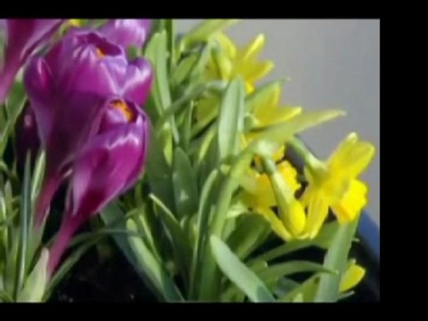 sevgili peygamberim-23