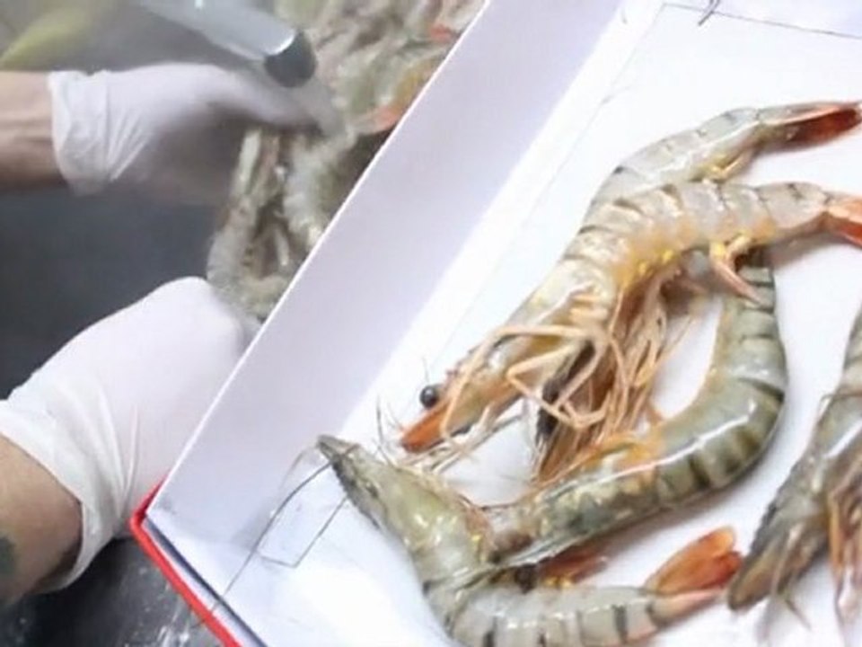 МСК вкусное предложение от Арт-кафе Выставка