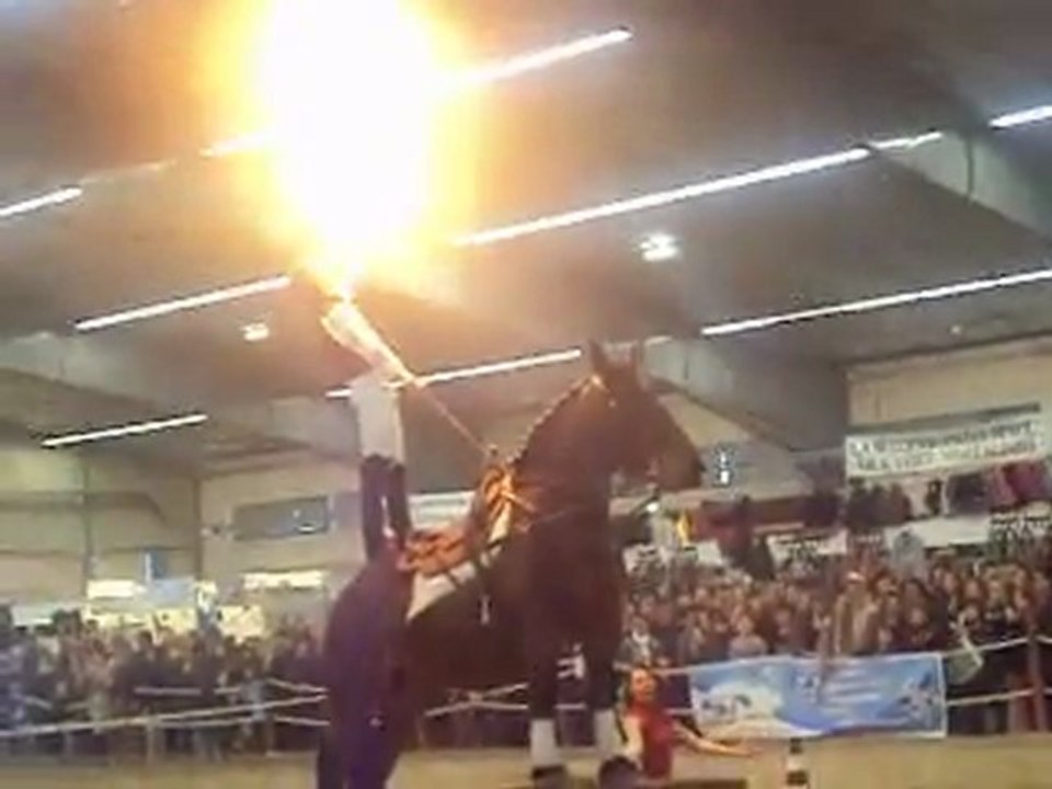 Salon du cheval à Albi 2010 274
