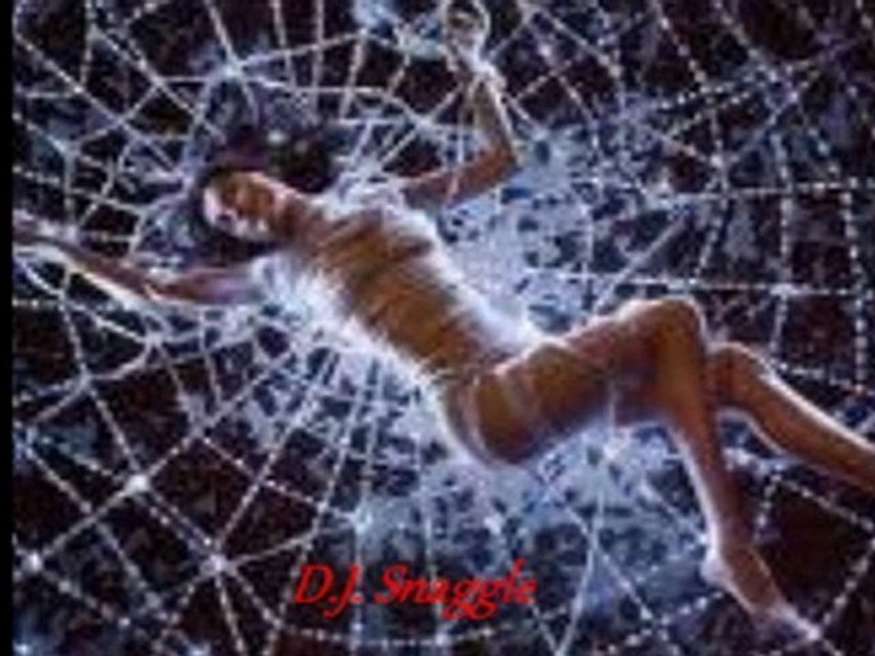 DANCE VOYAGE ( d.j. snaggle )