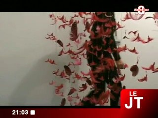 L’œuvre en plumes d’Isa Barbier