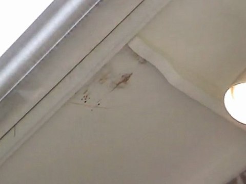 Houston Home Inspector: Rotted Soffit