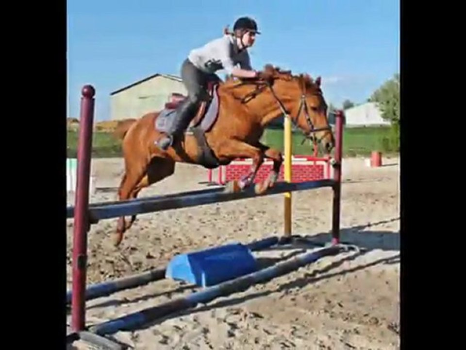 Vacances paques aux ecuries (: