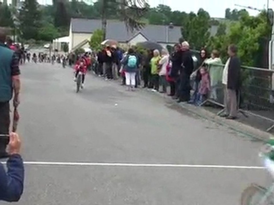 l'Arrivée des poussins