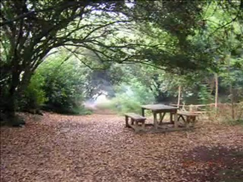 GİRESUN LAPAKÖYÜ Selda Bagcan Giresun Ustune (esref Turkusu)