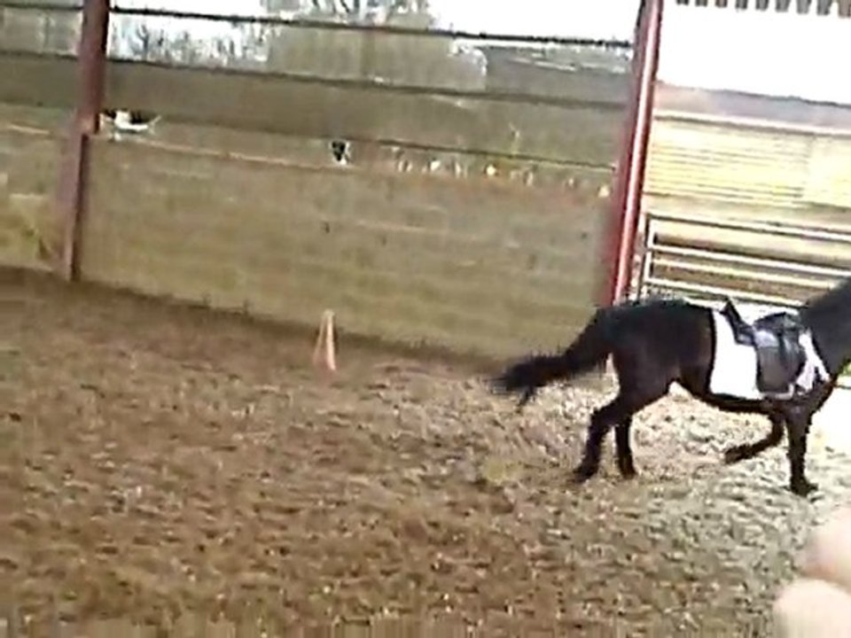 Pirouette fais tourner marie en bourik !