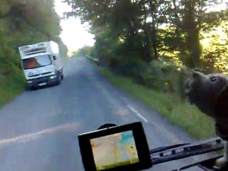 La promenade du chien