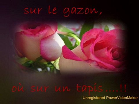 Dis avec les fleurs-05-02-16-59_wmv