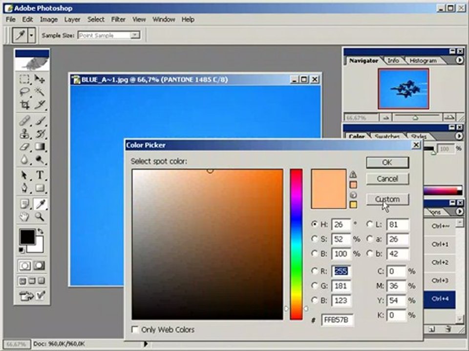 ozel_baski_rengi_secmek "teknoctrl"