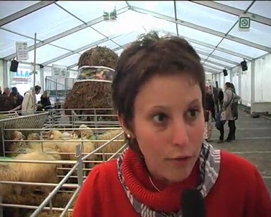 LURRAMA Chapiteau des animaux