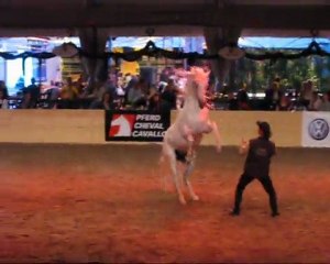 Parelli Night 2011 - Bern