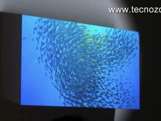 TV LG INFINIA 3D Full Led Slim: video conferenza