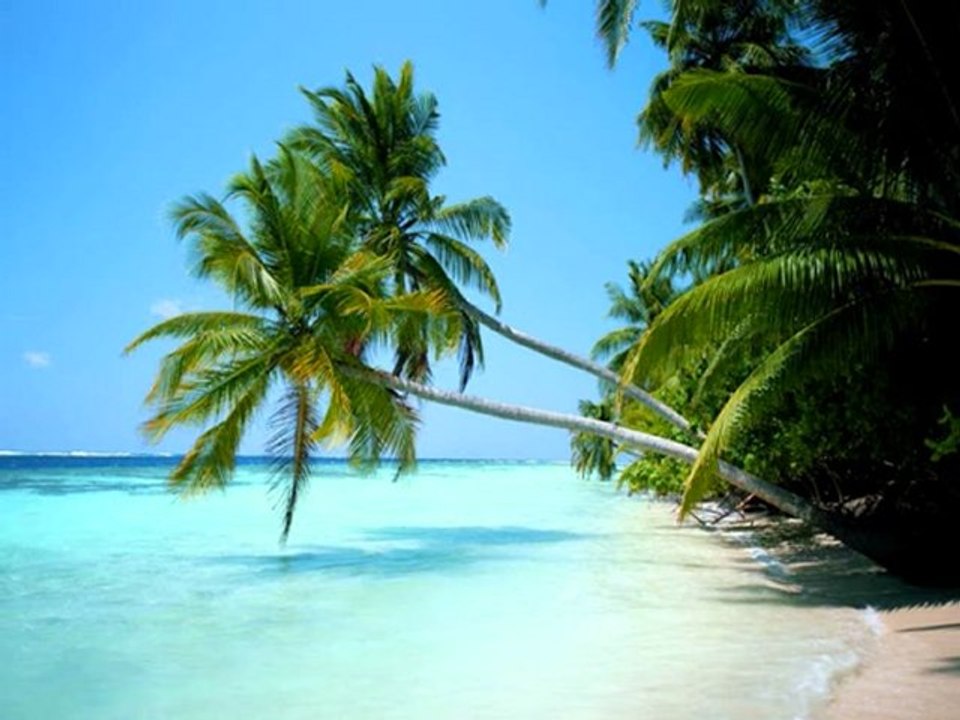 reves d ocean