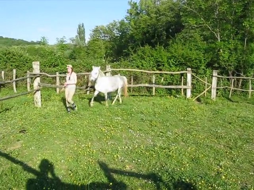 Saman du Pré Prince