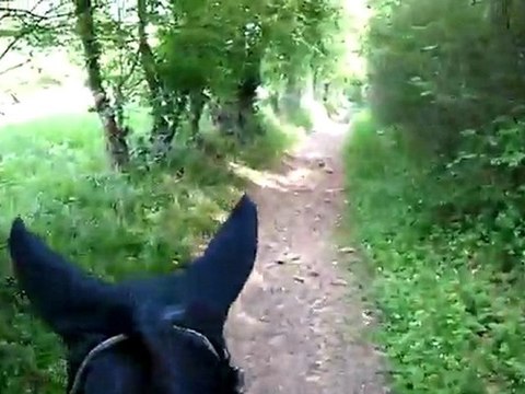 Rico balade 1er mai (2)