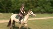 RIVIERA ponette de 6 ans loisirs / poney-club / compétition