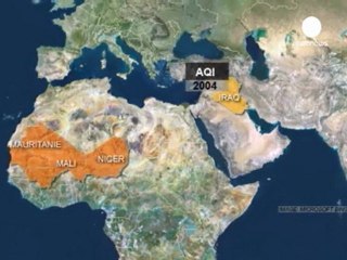 El Kaide'yi nasıl bir gelecek bekliyor?