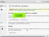 Updating your WordPress installation by VodaHost.com web hosting