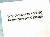 Things To Consider In Choosing A Submersible Pond Pumps