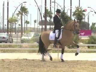 Gador DM montado Alcab 2011