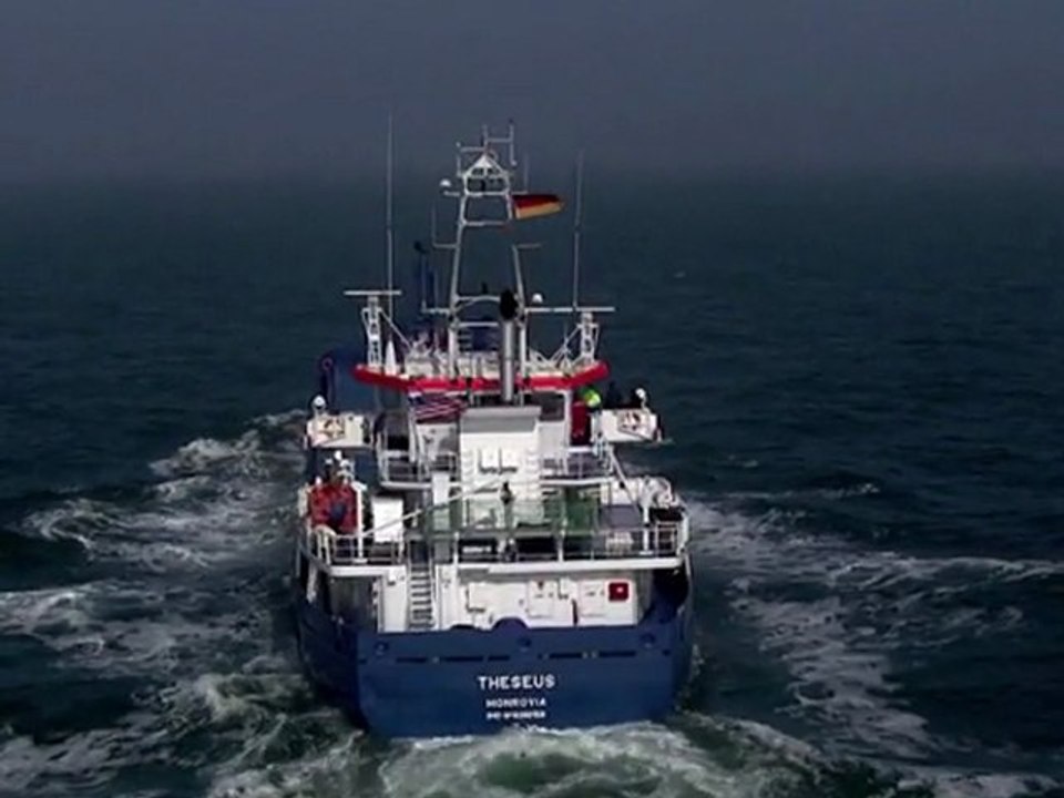 Kites pulling their weight for the environment