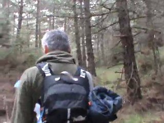 çamlar arasında patika