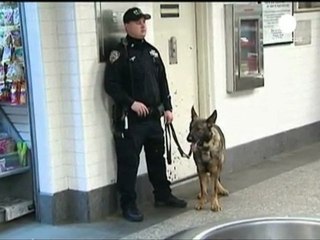 EEUU: la euforia deja paso al miedo a las represalias de...