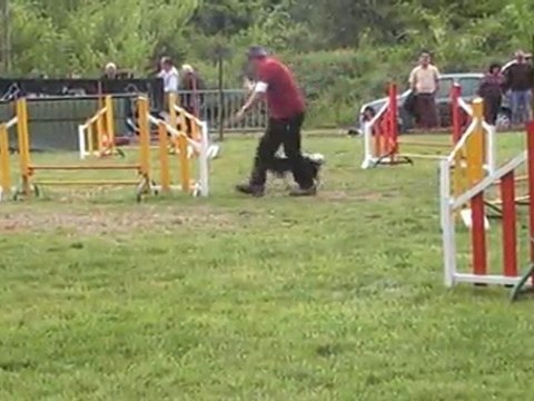 CHOUIA JUMPING 010511