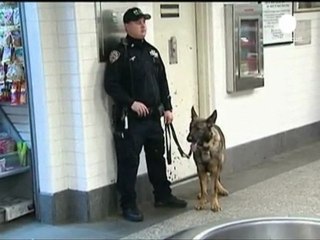 Les Etats-Unis ne relèvent pas leur niveau d'alerte aux...