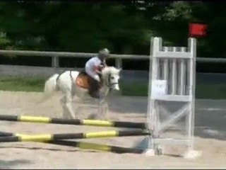 2011 CSO BRIMBORION  IMPREVUE