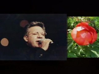 Zülfü Livaneli-Kan Çiçekleri