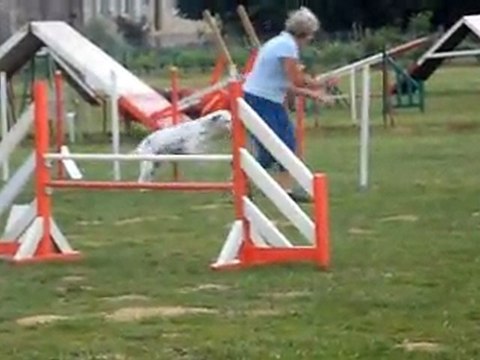 Sélectif Agility Tresses Maureen et Vicky du Canis Club Pessacais Illacais