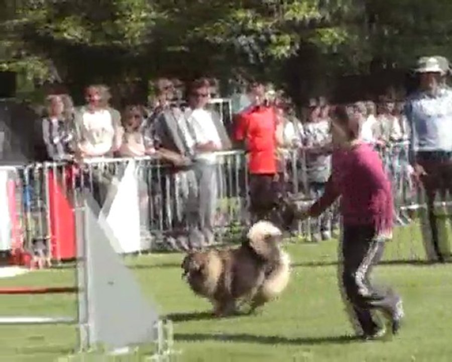 Championnat régional 2011 - Bambou & Dolmen.wmv.MP4