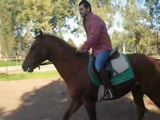 Binicilik dersleri 5