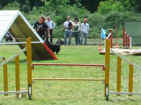 Auckland Agility 3 degrè Régional Bours 2011