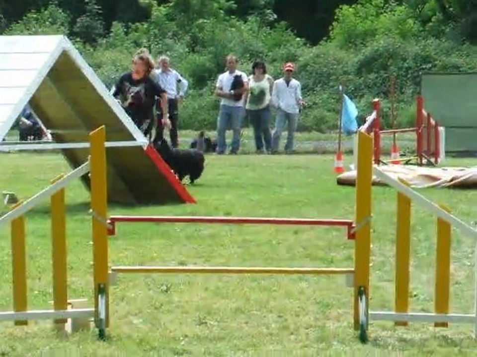 Auckland Agility 3 degrè Régional Bours 2011