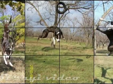 И снова летающие ....