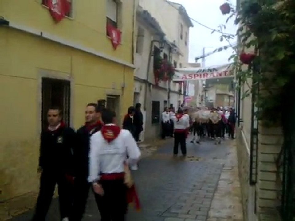( CABALLOS DEL VINO 2011) CARAVACA DE LA CRUZ