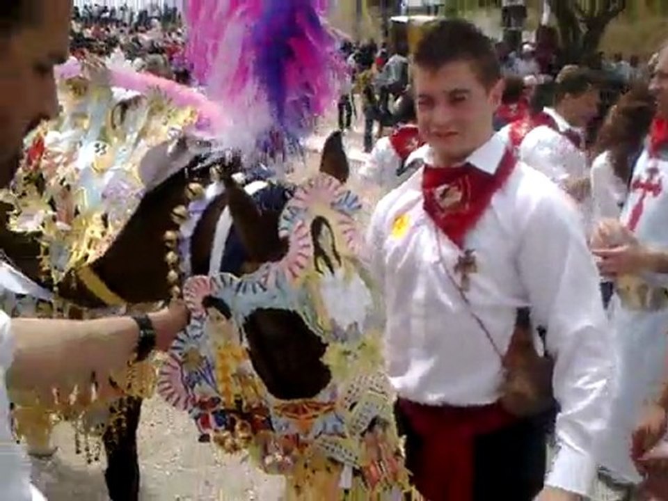 CABALLO DE LA PEÑA ASPIRANTE DESPUES DE LA CARRERA ( CABALLOS DEL VINO 2011) CARAVACA DE LA CRUZ