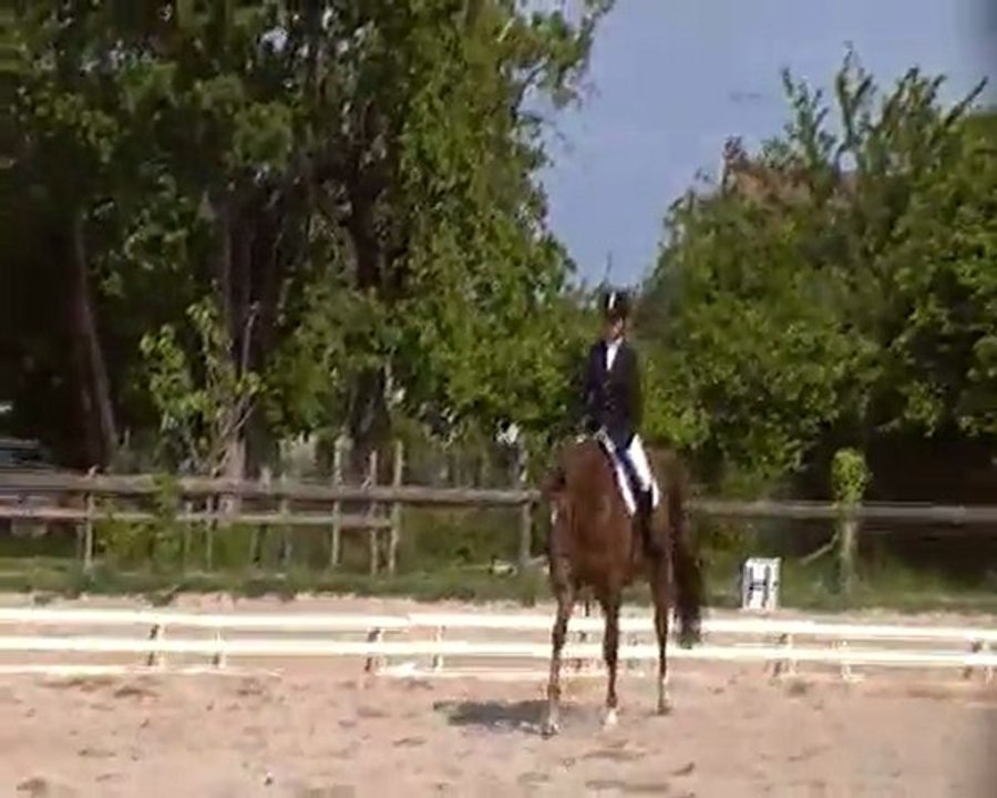 Dressage Plerguer hélène&Genêt