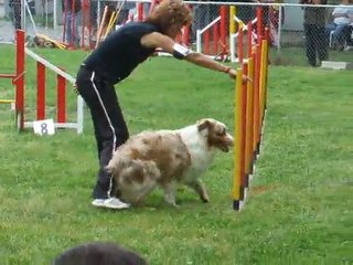 Maybe Jump Régional Bours 2011