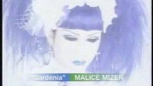 Gardenia