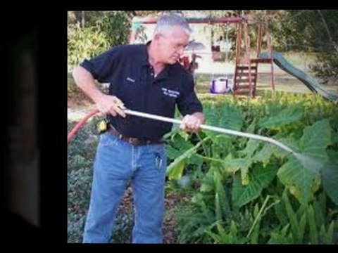 Pest Control Ft Lauderdale