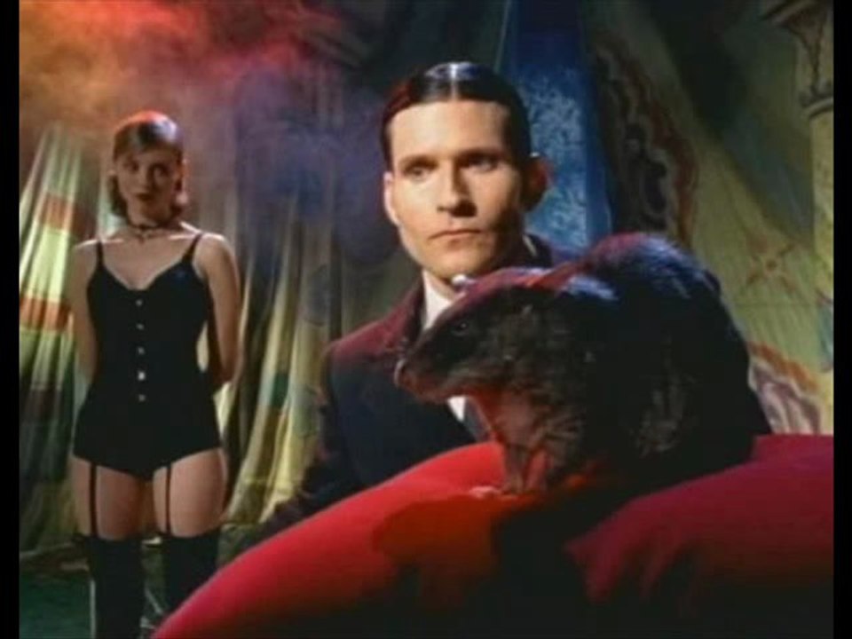 Nachtblut - Nie gefragt