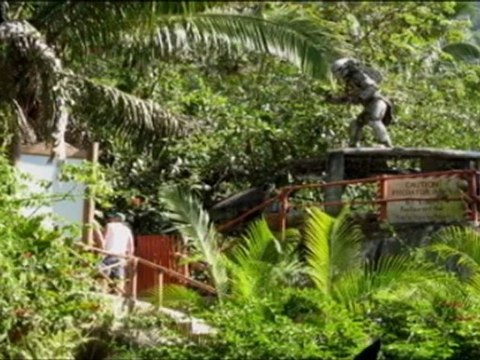 This is Puerto Vallarta by PromovisionPV